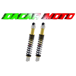 coppia Ammortizzatori posteriori ECOLINE YSS PER HONDA